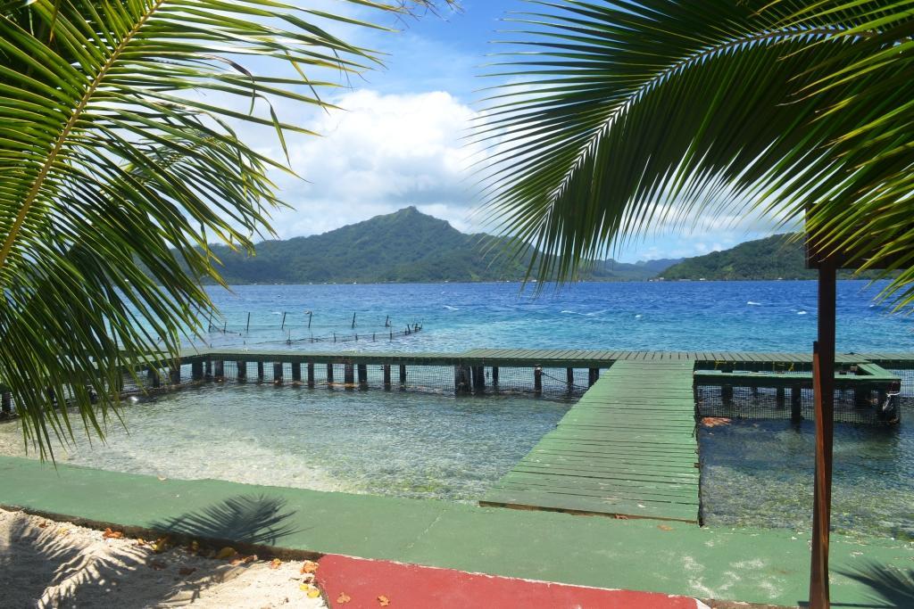 Pension Atger Vaitoare (Tahaa) Exterior photo